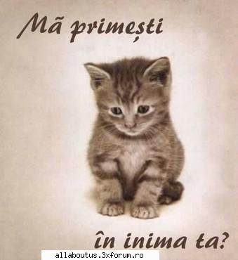 mie-mi place mai tare